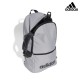 MOCHILA ADIDAS LIN CLAS BP DAY IZ1904